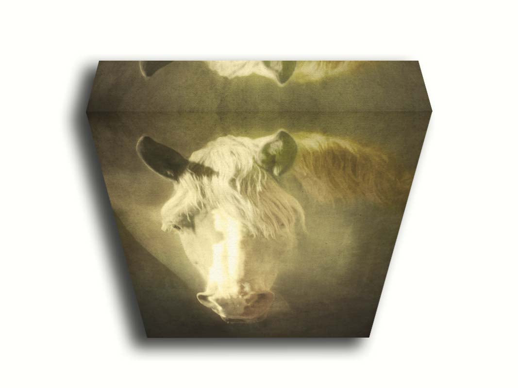 A portrait photograph of a golden palomino horse's face in a sepia tone with a rough texture, to create a vintage look. Printed on canvas.