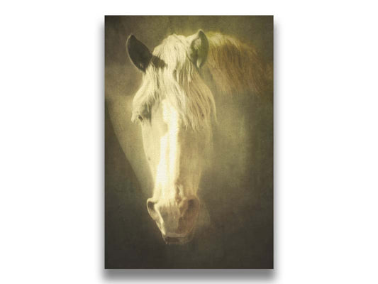 A portrait photograph of a golden palomino horse's face in a sepia tone with a rough texture, to create a vintage look. Printed on canvas.