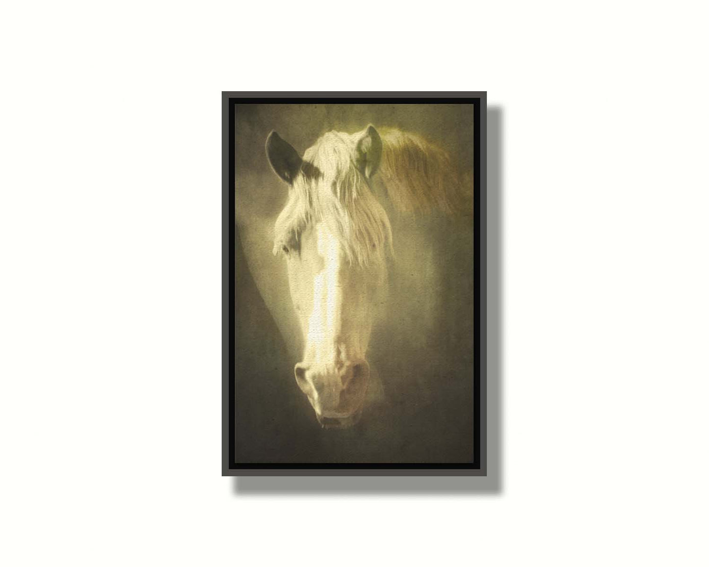 A portrait photograph of a golden palomino horse's face in a sepia tone with a rough texture, to create a vintage look. Printed on canvas in a float frame.