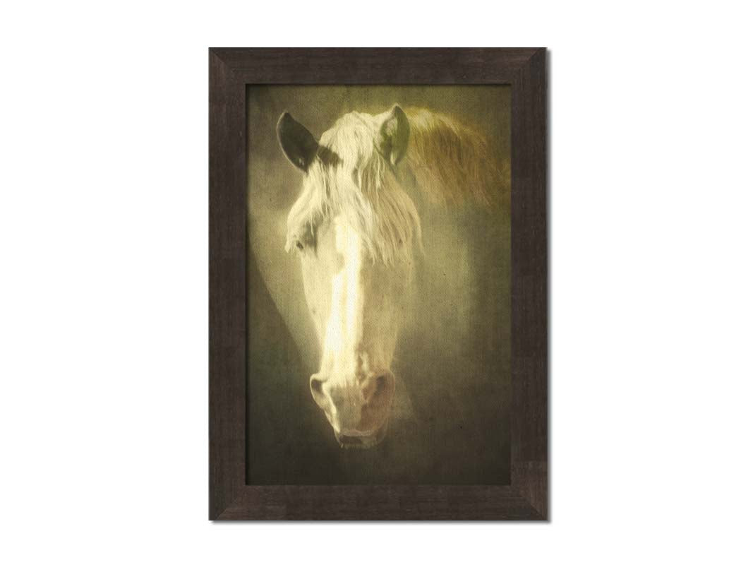 A portrait photograph of a golden palomino horse's face in a sepia tone with a rough texture, to create a vintage look. Printed on canvas and framed.