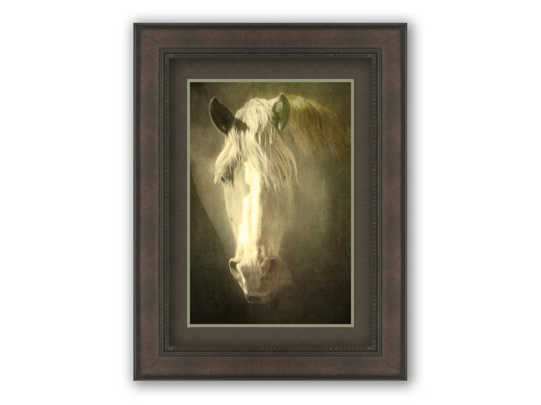 A portrait photograph of a golden palomino horse's face in a sepia tone with a rough texture, to create a vintage look. Printed on paper, matted, and framed.