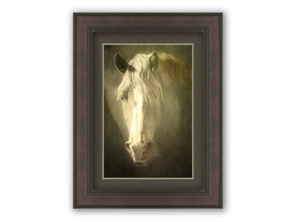 A portrait photograph of a golden palomino horse's face in a sepia tone with a rough texture, to create a vintage look. Printed on paper, matted, and framed.