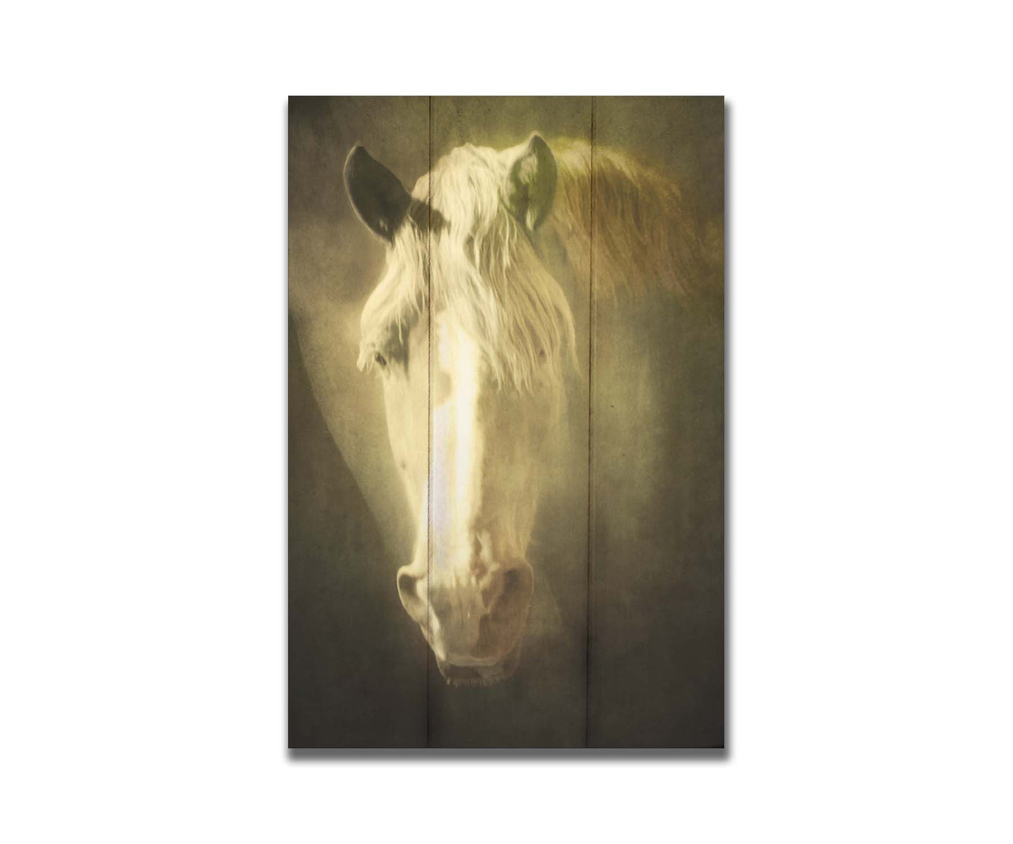 A portrait photograph of a golden palomino horse's face in a sepia tone with a rough texture, to create a vintage look. Printed on a box board.