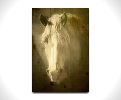 A portrait photograph of a golden palomino horse's face in a sepia tone with a rough texture, to create a vintage look. Printed on a wood pallet.