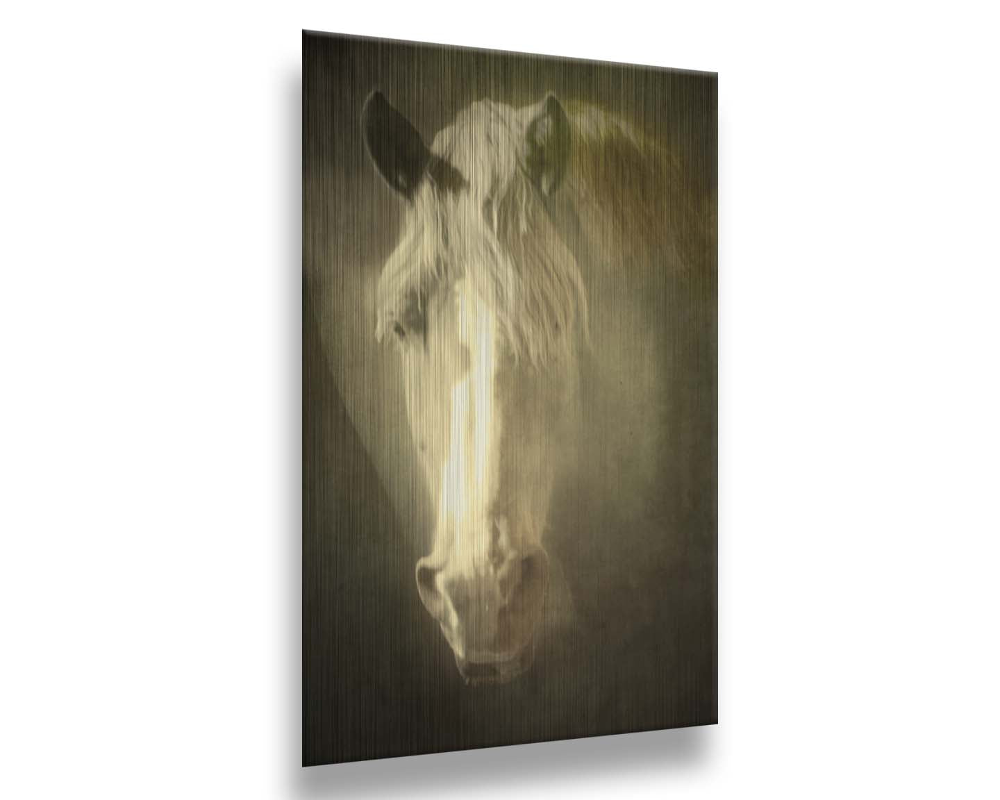 A portrait photograph of a golden palomino horse's face in a sepia tone with a rough texture, to create a vintage look. Printed on metal.