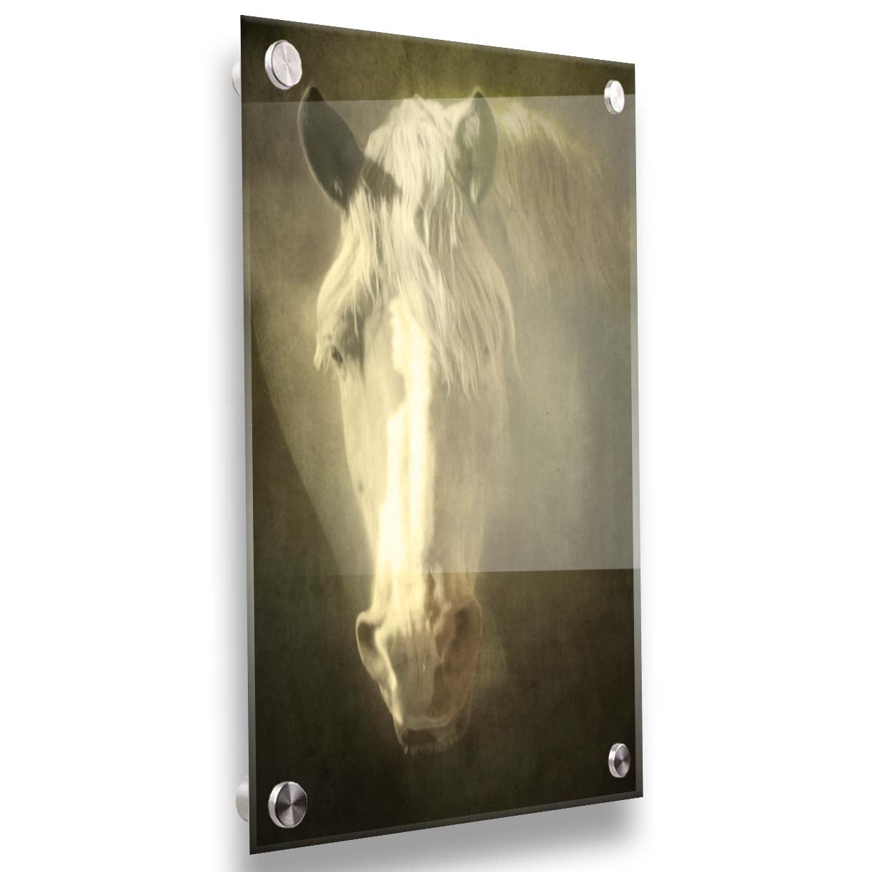 A portrait photograph of a golden palomino horse's face in a sepia tone with a rough texture, to create a vintage look. Printed on acrylic.