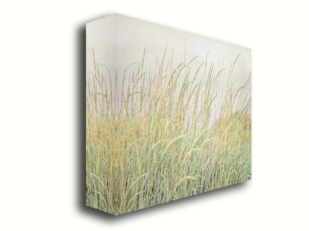 A photograph of pale green and tan grasses swaying in the breeze against an overcast sky. Printed on canvas.