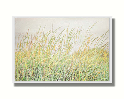 A photograph of pale green and tan grasses swaying in the breeze against an overcast sky. Printed on canvas in a float frame.