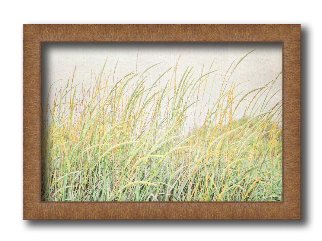 A photograph of pale green and tan grasses swaying in the breeze against an overcast sky. Printed on canvas and framed.