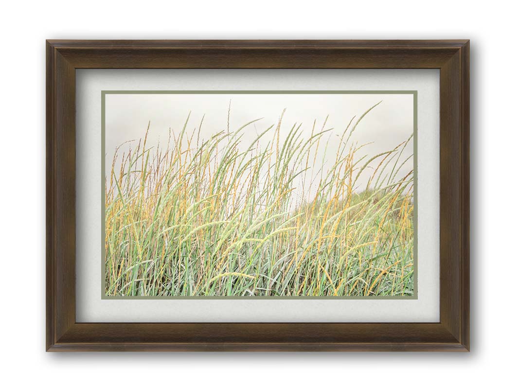 A photograph of pale green and tan grasses swaying in the breeze against an overcast sky. Printed on paper, matted, and framed.