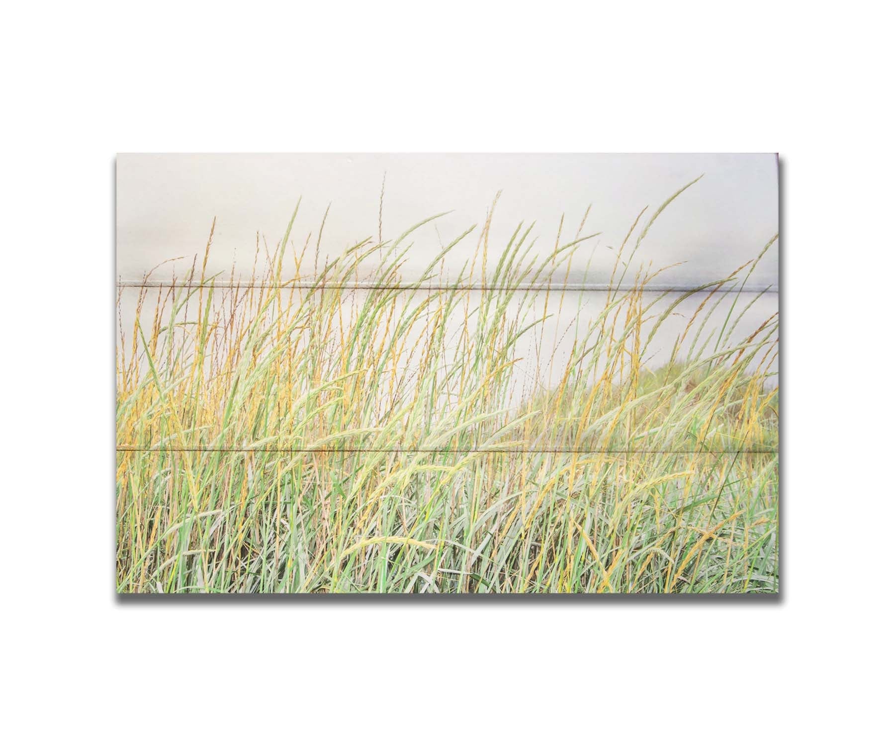 A photograph of pale green and tan grasses swaying in the breeze against an overcast sky. Printed on a box board.