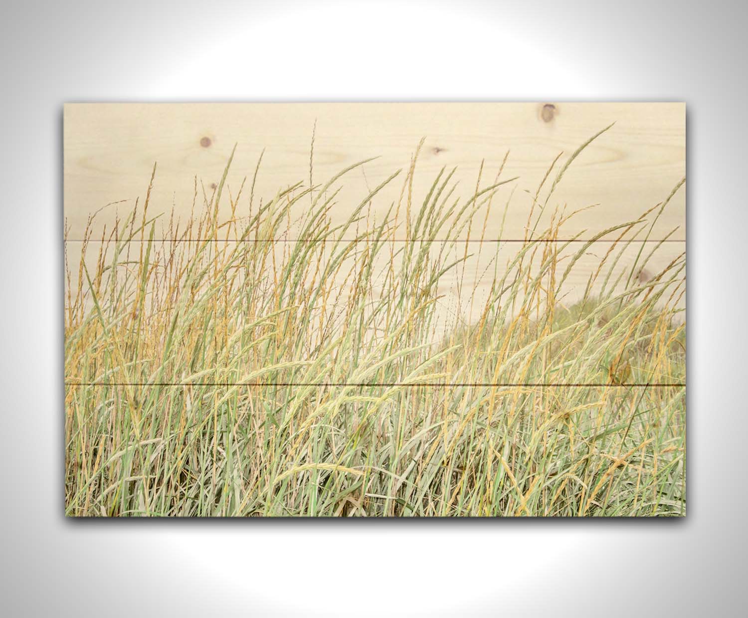 A photograph of pale green and tan grasses swaying in the breeze against an overcast sky. Printed on a wood pallet.