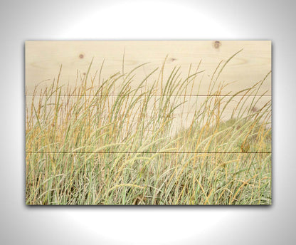 A photograph of pale green and tan grasses swaying in the breeze against an overcast sky. Printed on a wood pallet.