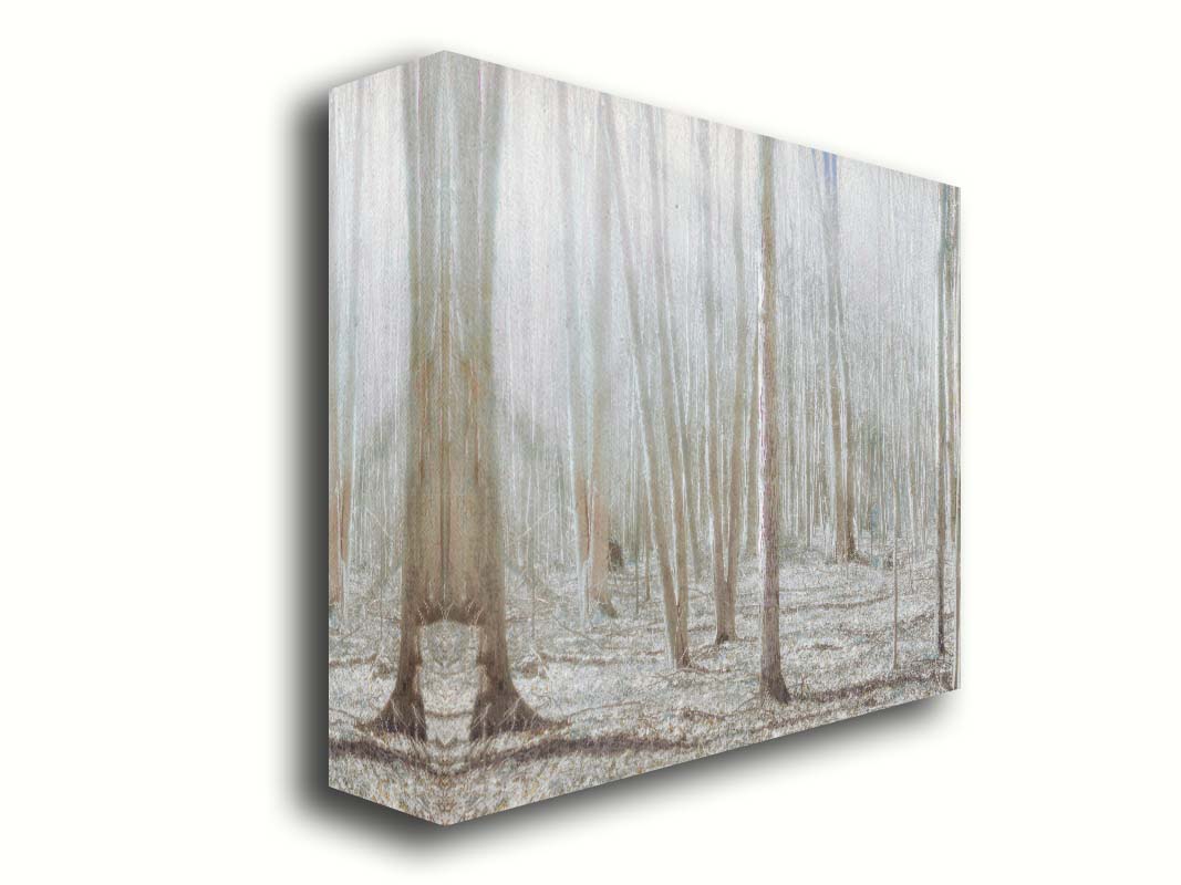 A dreamy, low-saturation photograph of a forest of bare trees, bathed in sunlight. Printed on canvas.