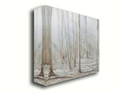 A dreamy, low-saturation photograph of a forest of bare trees, bathed in sunlight. Printed on canvas.