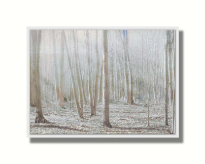 A dreamy, low-saturation photograph of a forest of bare trees, bathed in sunlight. Printed on canvas in a float frame.