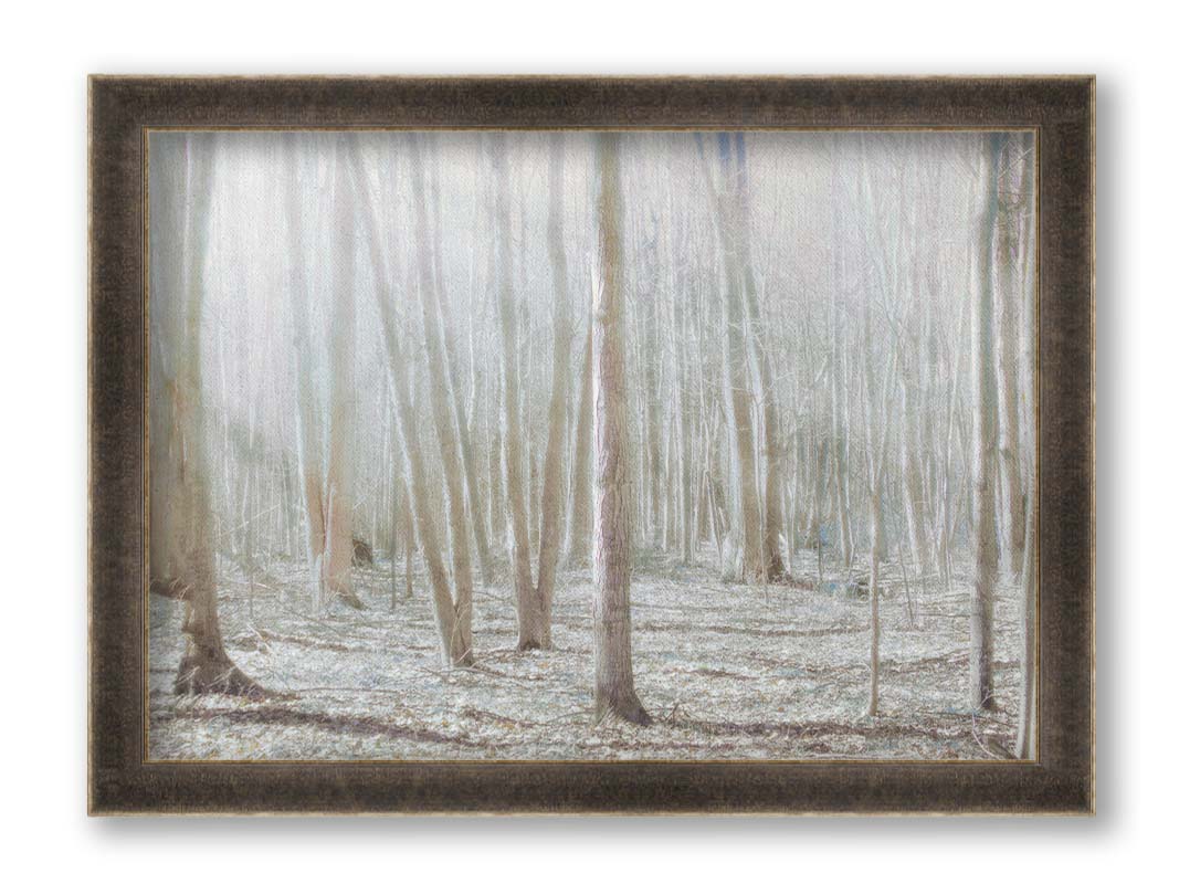 A dreamy, low-saturation photograph of a forest of bare trees, bathed in sunlight. Printed on canvas and framed.