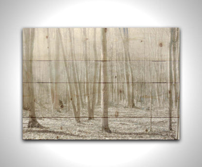 A dreamy, low-saturation photograph of a forest of bare trees, bathed in sunlight. Printed on a wood pallet.