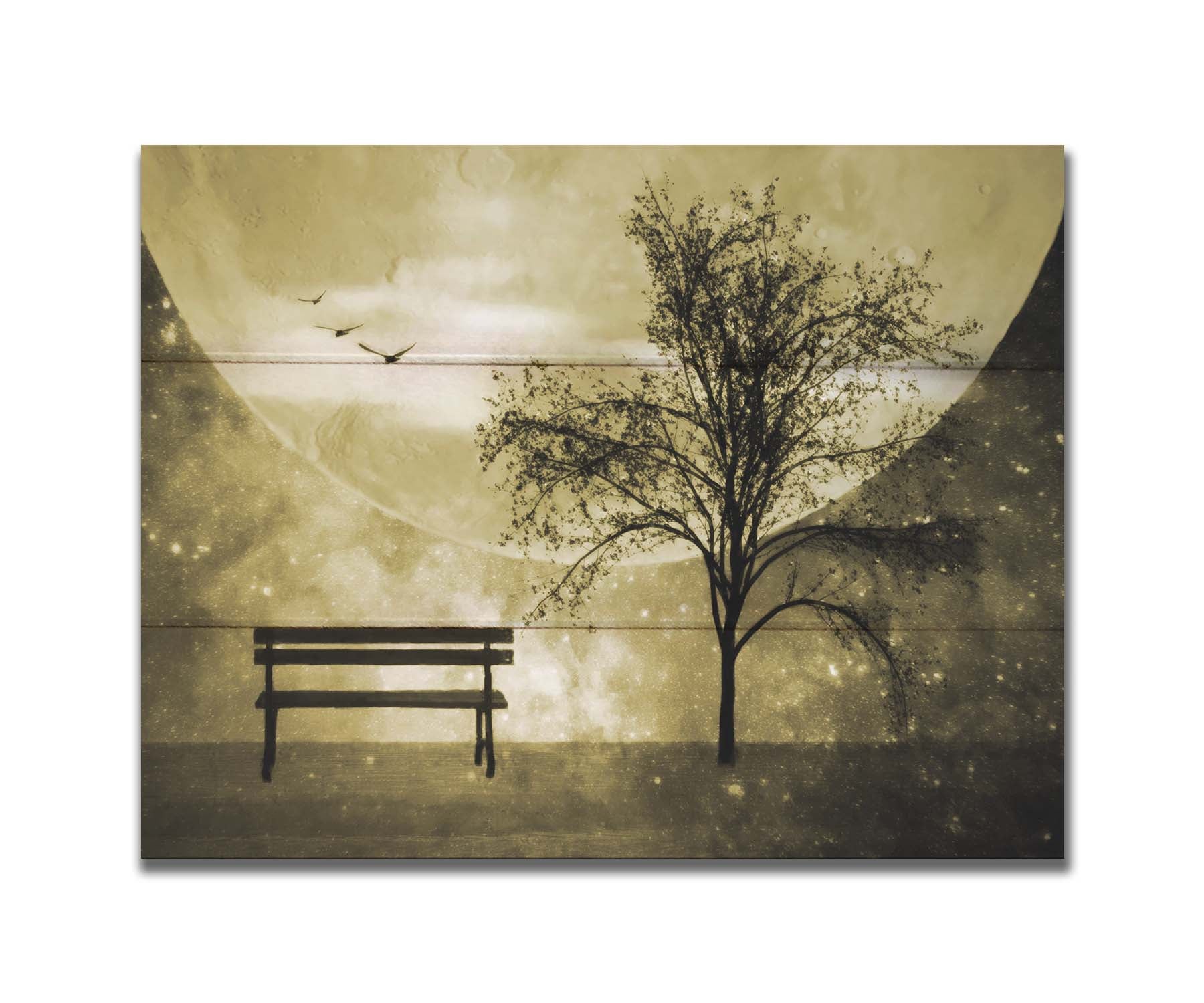 A photo edit of birds flying by a bench and tree in a starry night, with a sepia tone. Printed on a box board.