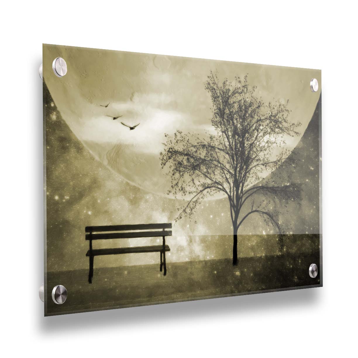 A photo edit of birds flying by a bench and tree in a starry night, with a sepia tone. Printed on acrylic.