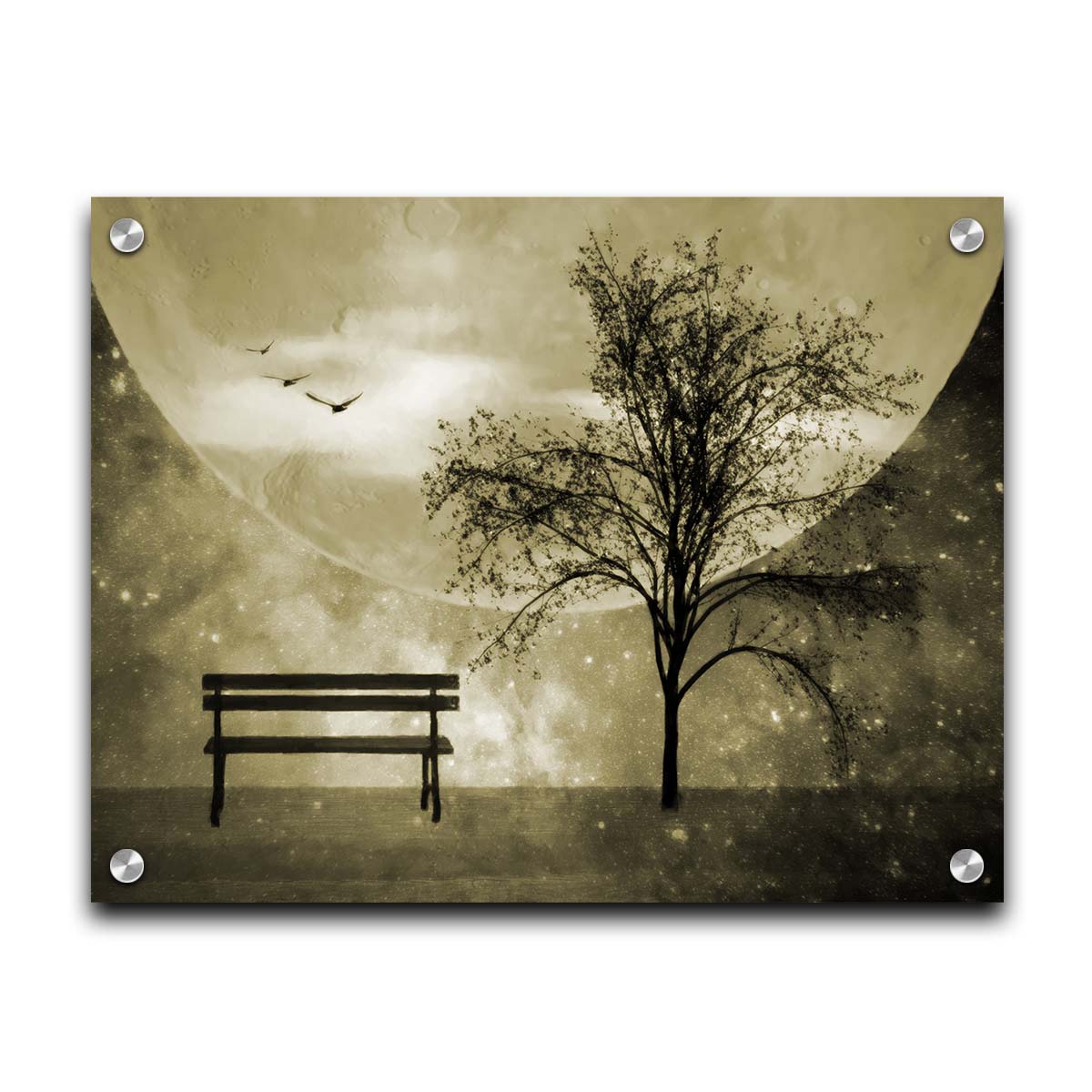 A photo edit of birds flying by a bench and tree in a starry night, with a sepia tone. Printed on acrylic.