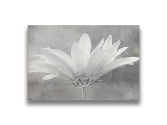 A closeup photograph of a white daisy in grayscale, against an out of focus background. Printed on canvas.