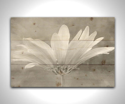 A closeup photograph of a white daisy in grayscale, against an out of focus background. Printed on a wood pallet.