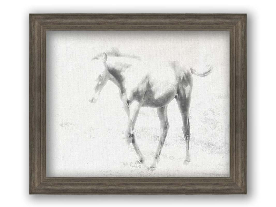 A high-key black and white photograph of a charming foal trotting through a field. Printed on canvas and framed.