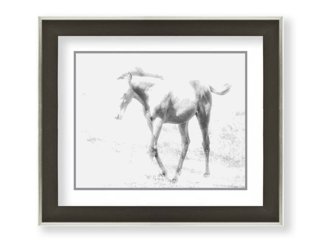 A high-key black and white photograph of a charming foal trotting through a field. Printed on paper, matted, and framed.