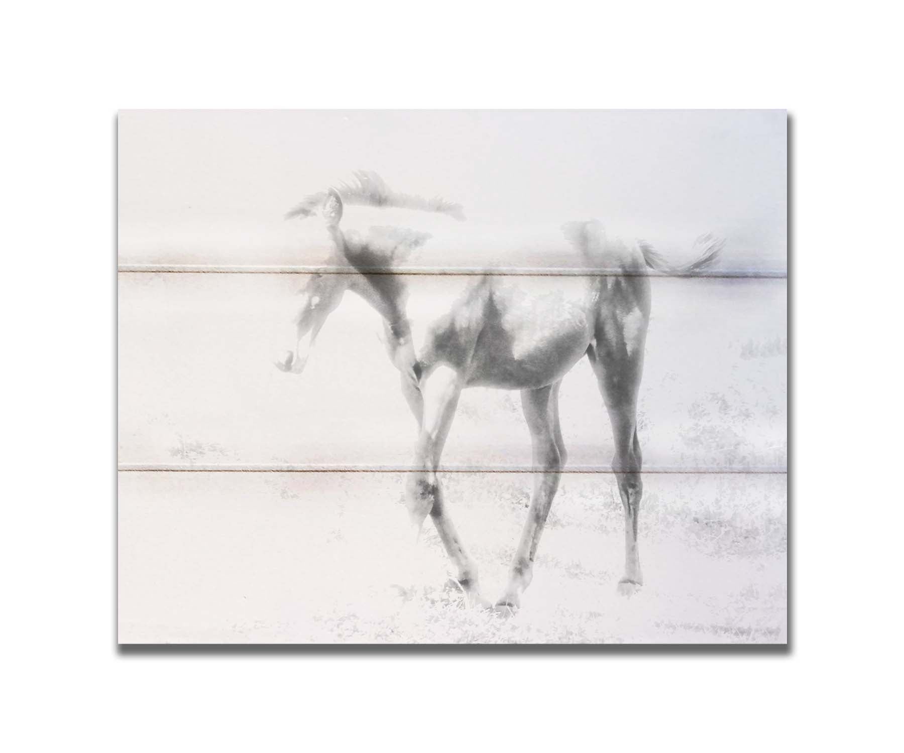 A high-key black and white photograph of a charming foal trotting through a field. Printed on a box board.