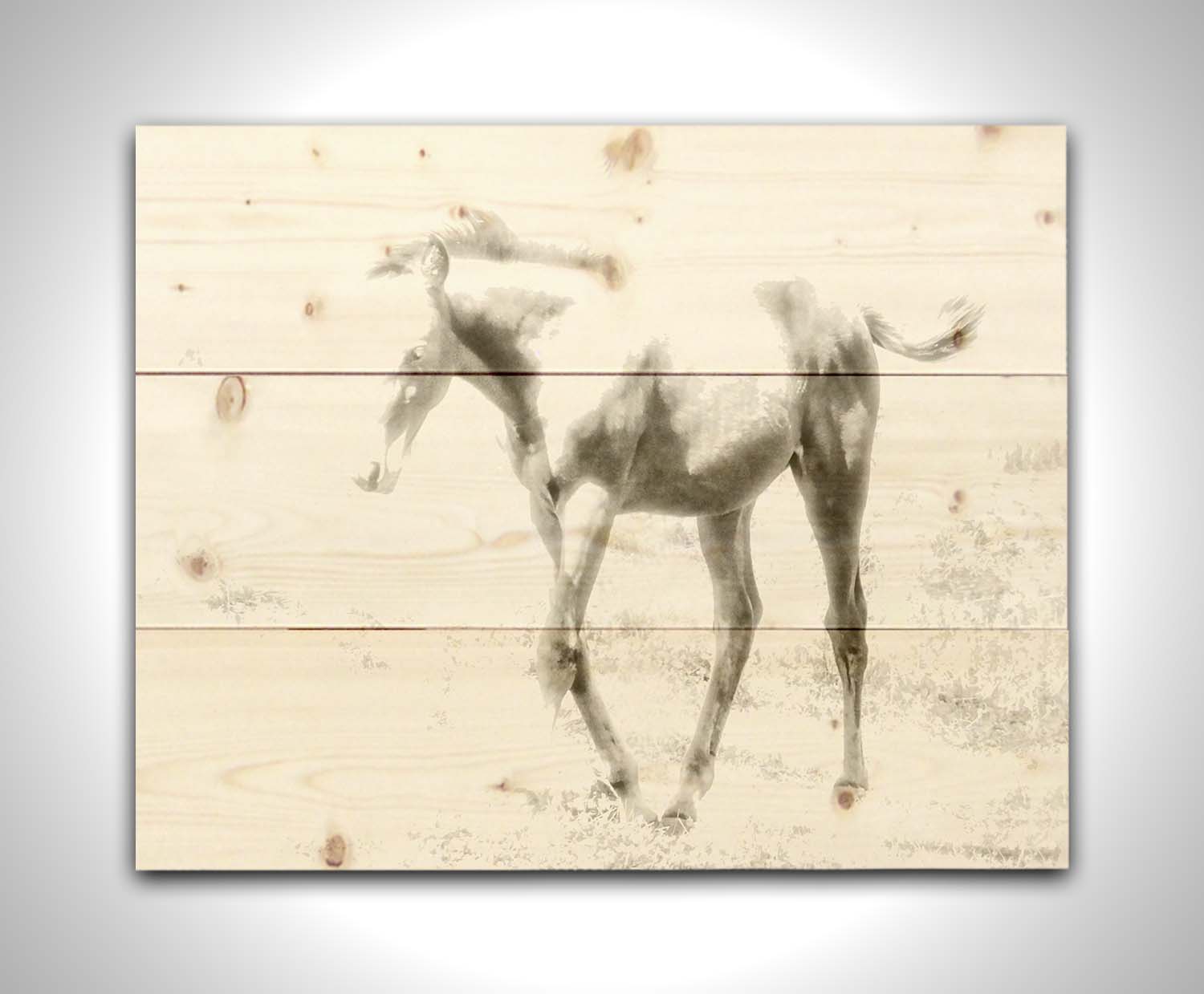 A high-key black and white photograph of a charming foal trotting through a field. Printed on a wood pallet.