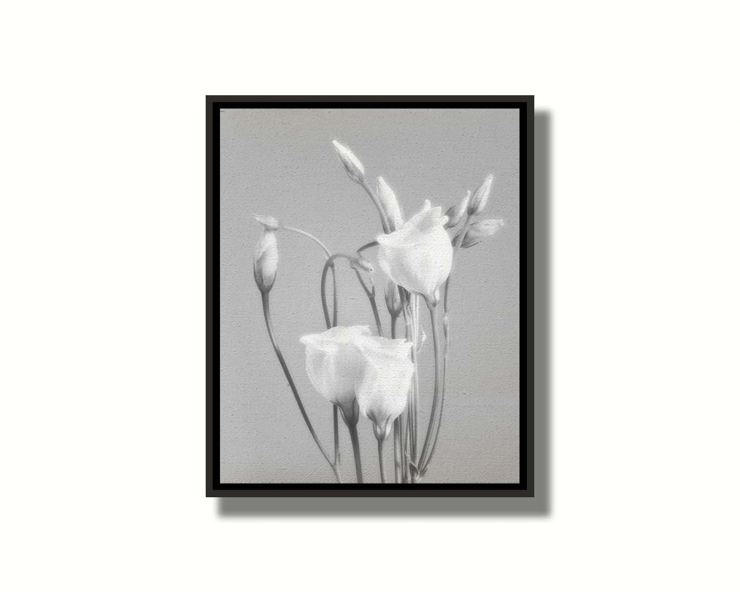 A photograph by Hal Halli. This grayscale still life features delicate white flowers, contrasted against a darker gray background. Printed on canvas in a float frame.