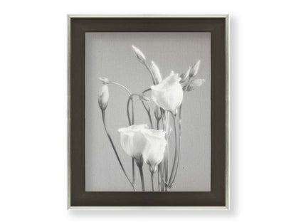 A photograph by Hal Halli. This grayscale still life features delicate white flowers, contrasted against a darker gray background. Printed on canvas and framed.