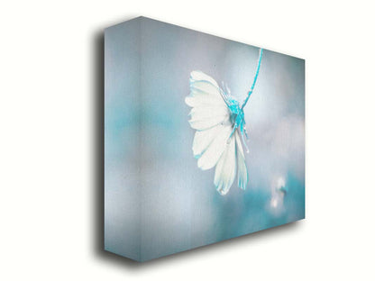 A photograph with a limited color palette of white, gray, and blue. The low depth of field creates a soft bokeh background. Printed on canvas.