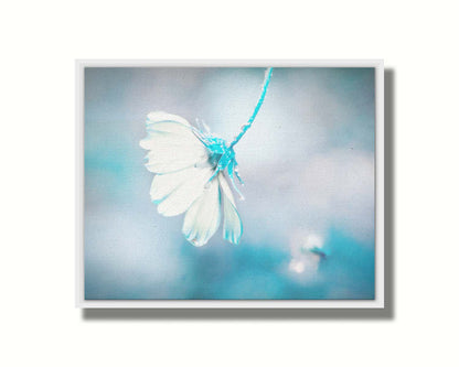 A photograph with a limited color palette of white, gray, and blue. The low depth of field creates a soft bokeh background. Printed on cavas in a float frame.