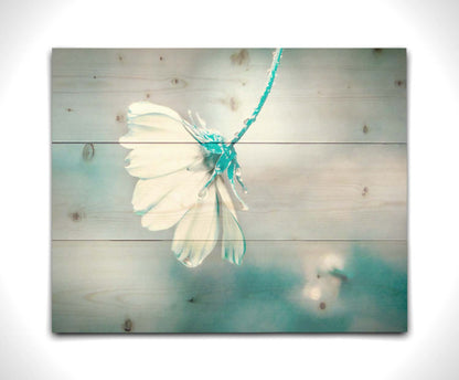 A photograph with a limited color palette of white, gray, and blue. The low depth of field creates a soft bokeh background. Printed on a wood pallet.