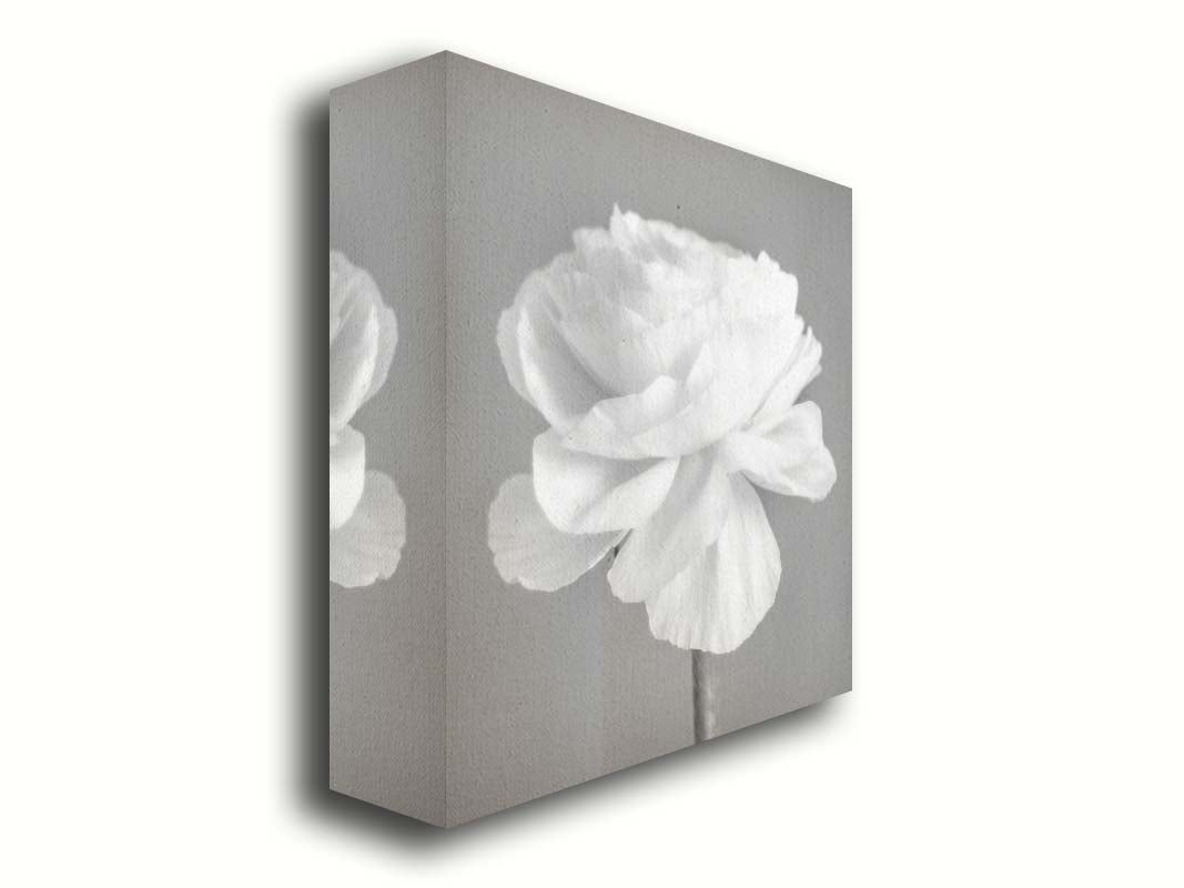 A square grayscale photograph of a light flower. Printed on canvas.