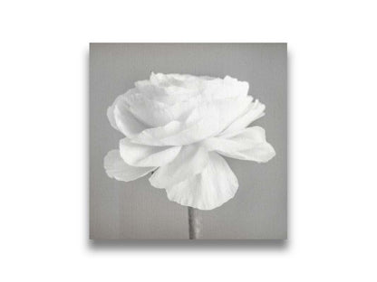 A square grayscale photograph of a light flower. Printed on canvas.