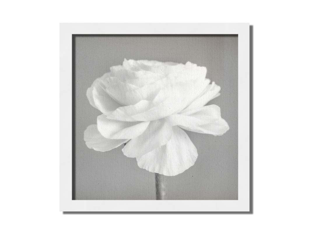 A square grayscale photograph of a light flower. Printed on canvas and framed.