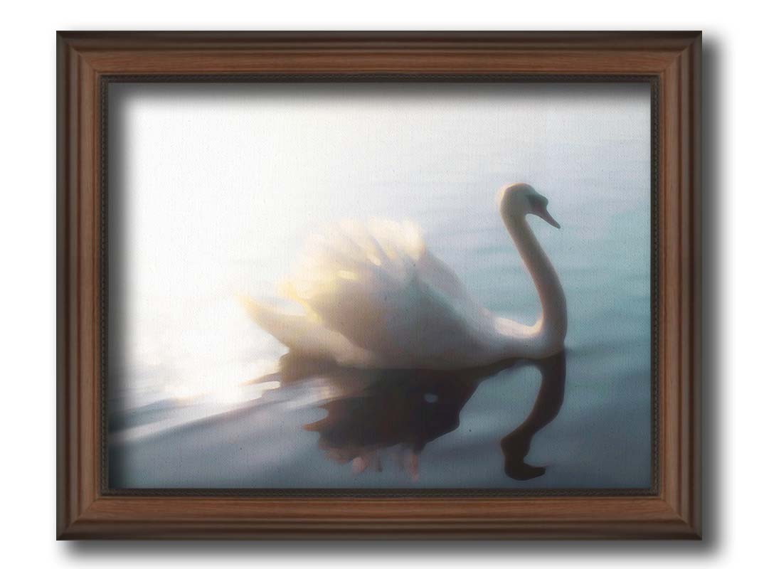 A photograph of a swan swimming across the water. Sunlight reflects strongly on the surrounding water, creating a glow. The photo is edited with a painterly appearance. Printed on canvas and framed.