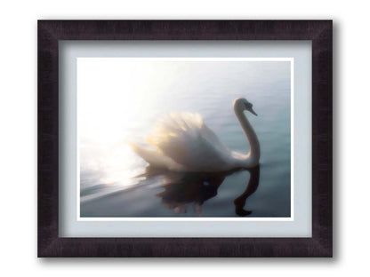 A photograph of a swan swimming across the water. Sunlight reflects strongly on the surrounding water, creating a glow. The photo is edited with a painterly appearance. Printed on paper, matted, and framed.