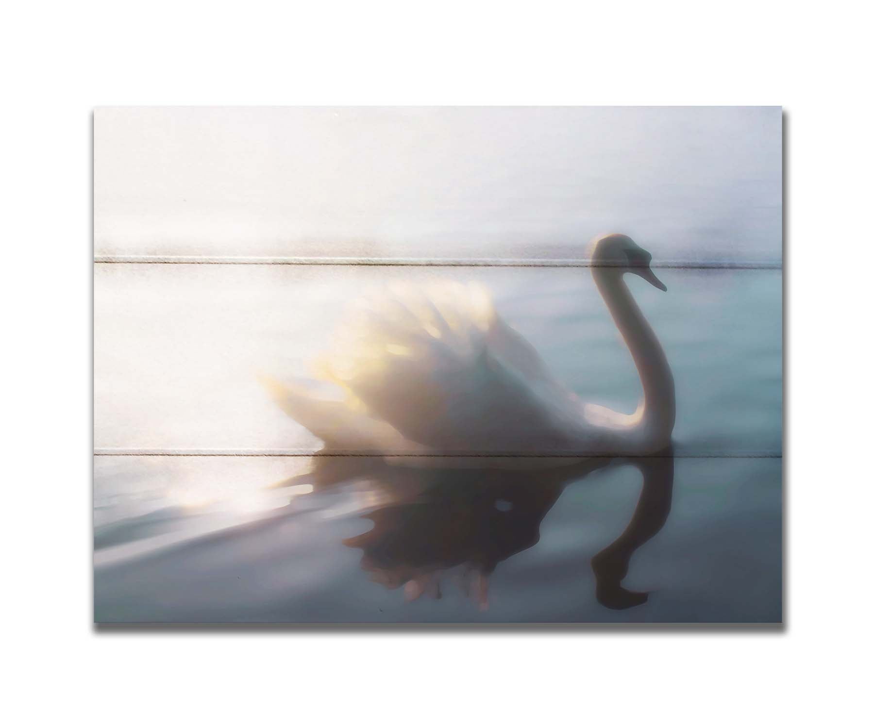 A photograph of a swan swimming across the water. Sunlight reflects strongly on the surrounding water, creating a glow. The photo is edited with a painterly appearance. Printed on a box board.