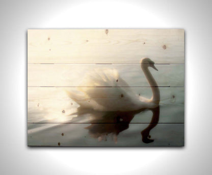 A photograph of a swan swimming across the water. Sunlight reflects strongly on the surrounding water, creating a glow. The photo is edited with a painterly appearance. Printed on a wood pallet.