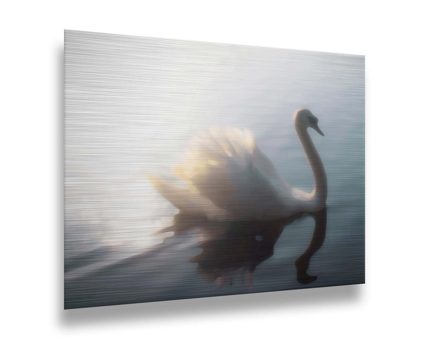 A photograph of a swan swimming across the water. Sunlight reflects strongly on the surrounding water, creating a glow. The photo is edited with a painterly appearance. Printed on metal.