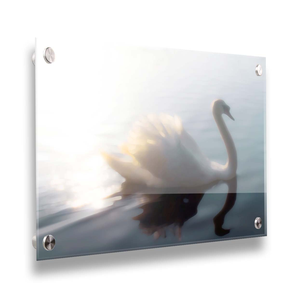 A photograph of a swan swimming across the water. Sunlight reflects strongly on the surrounding water, creating a glow. The photo is edited with a painterly appearance. Printed on acrylic.