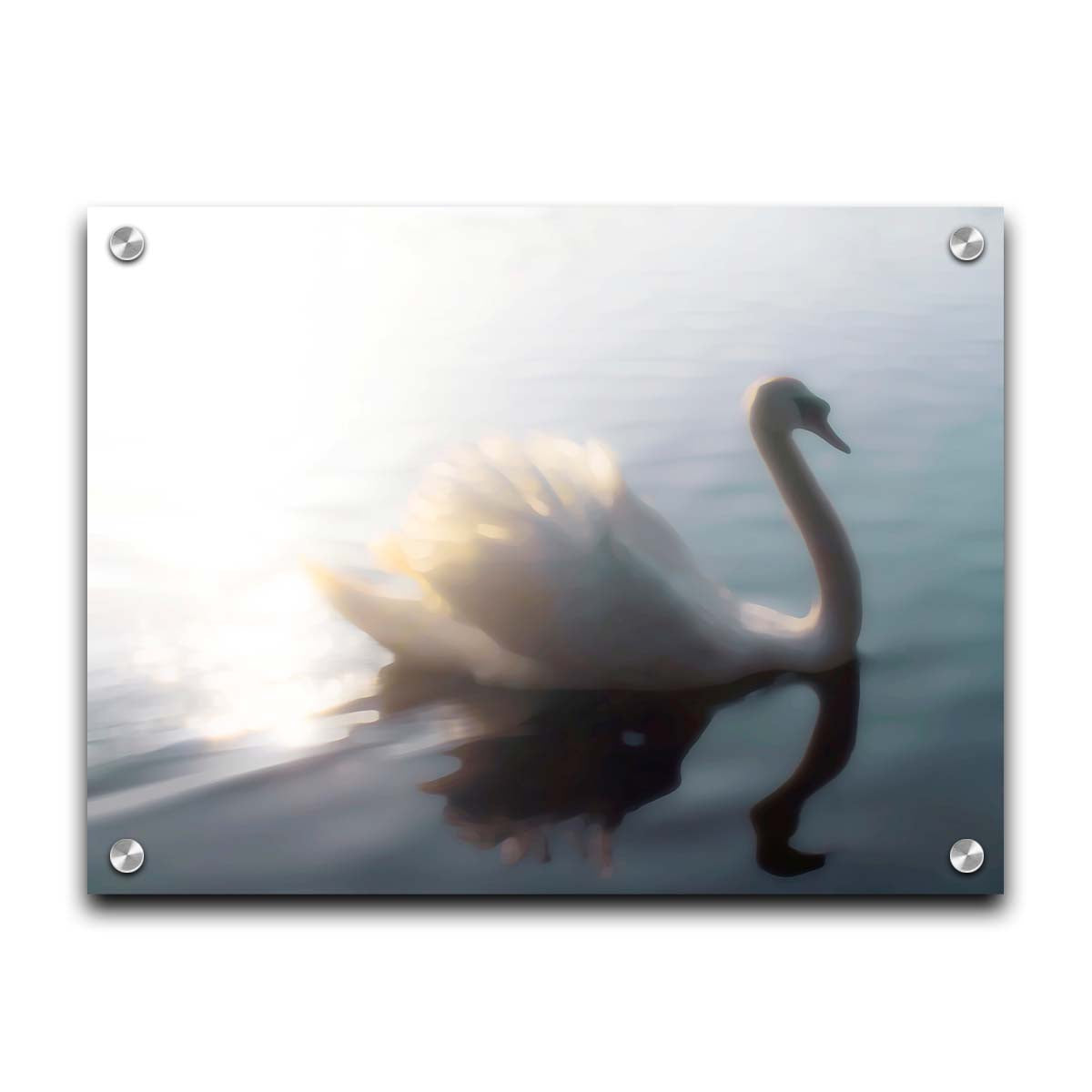 A photograph of a swan swimming across the water. Sunlight reflects strongly on the surrounding water, creating a glow. The photo is edited with a painterly appearance. Printed on acrylic.