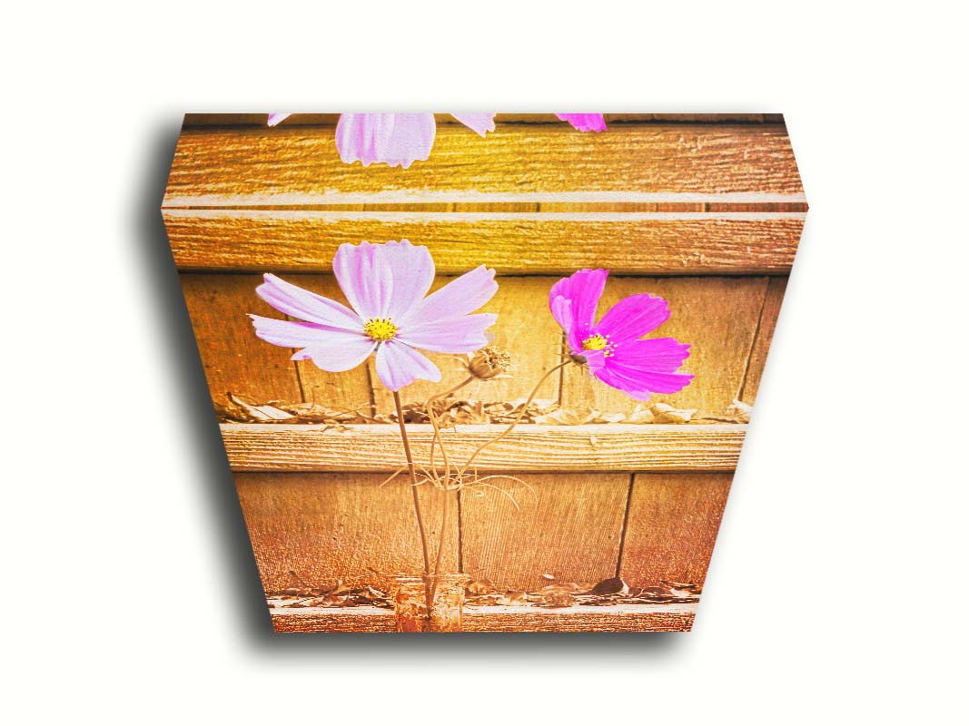 A photograph of two purple flowers in front of wooden steps, with all but the flower petals edited with a sepia tone. Printed on canvas.