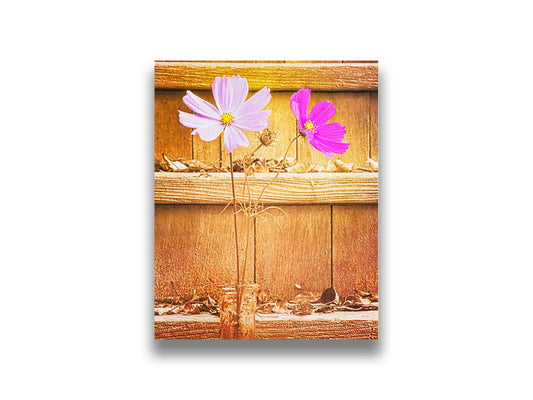 A photograph of two purple flowers in front of wooden steps, with all but the flower petals edited with a sepia tone. Printed on canvas.