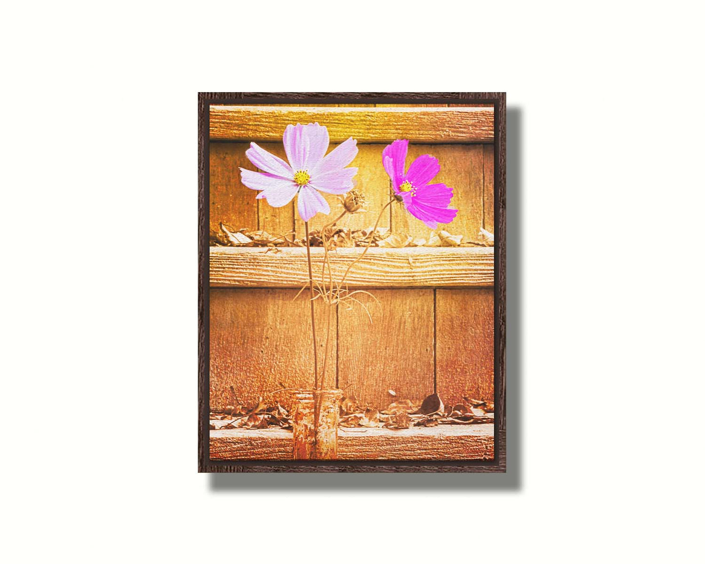 A photograph of two purple flowers in front of wooden steps, with all but the flower petals edited with a sepia tone. Printed on canvas in a float frame.