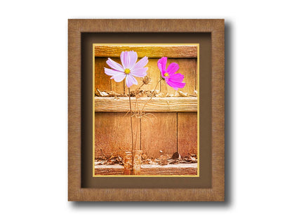 A photograph of two purple flowers in front of wooden steps, with all but the flower petals edited with a sepia tone. Printed on paper, matted, and framed.